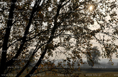 Sulmin na Kaszubach. Pola od strony lasu smegorzysnkiego.21.10.2012...