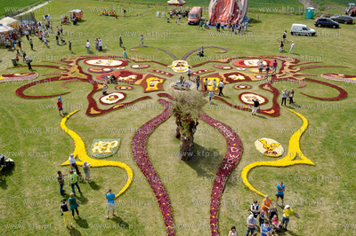 Zulawski Tulipan -  piata edycja imprezy zorganizowanej...