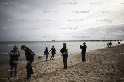 Sopot. Plaza.
21.09.2011
fot. Krzysztof Mystkowski...