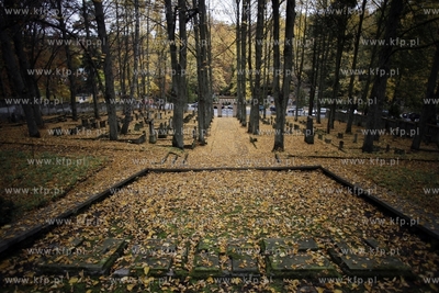 Sopot. Zydowski cmentarz.
24.10.2012
fot. Krzysztof...