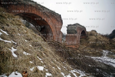 Gdansk. Wycinka drzew na trasie budowanej Kolei Metropolitalnej...