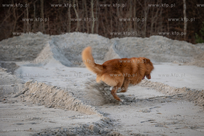 Plaża w Babich Dołach.
27.01.2023
fot. Krzysztof...