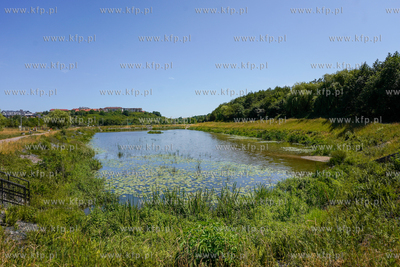 Teren przez które poprowadzona ma być trasa Nowa...