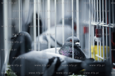 Gdansk. Miedzynarodowe Targi Gdanskie SA. 
6. Miedzynarodowe...