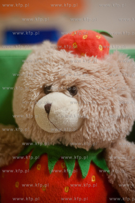 Gdansk. Zlobek nr 25. Swiatowy Dzien Pluszowego Misia.
25.11.2013
fot....