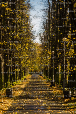 Gdańsk. Jesien w Parku Steffensa.
30.10.2016
fot....