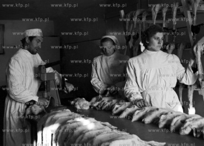 Porcjowanie drobiu w zakładach mięsnych. (lata50)....