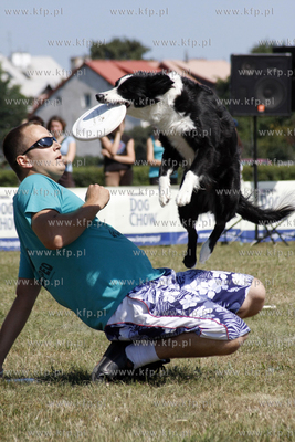 Sopocka Wystawa Psow Rasowych. W trakcie wystawy odbywaly...