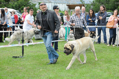 W Zespole Dworsko - Parkowym  w Gdyni Kolibkach odbyla...