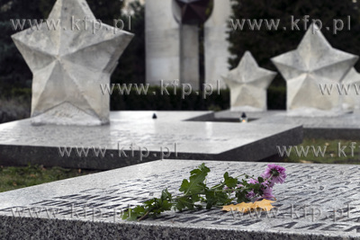 Cmentarz wojenny przy ulicy Zastawnej w Pruszczu Gdanskim....