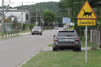 Osobliwy znak drogowy ostrzegający o możliwosci napotkania...