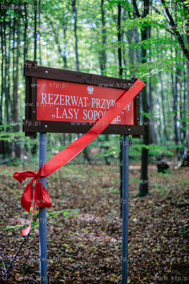 Sopot.  Wielka Gwiazda,  Lasy Sopockie.  Uroczyste...