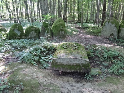 Leśny cmentarz koło Markowa na Warmii. Miejsce, gdzie...