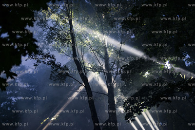 Wisłoujście - letnie święto muzyki elektronicznej...