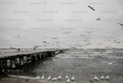 Sopot. Molo.
10.01.2010
fot. Krzysztof Mystkowki...