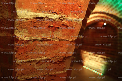 Uroczyste otwarcie Piwnicy Romanskiej z XIIIw., ktora...