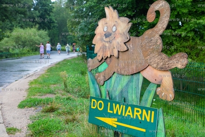 Międzynarodowy Dzień Lwa w gdańskim ZOO. 10.08.2018...