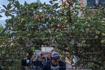 Gdańsk Wrzeszcz, ogród Villa Eva. Koncert zespołu...