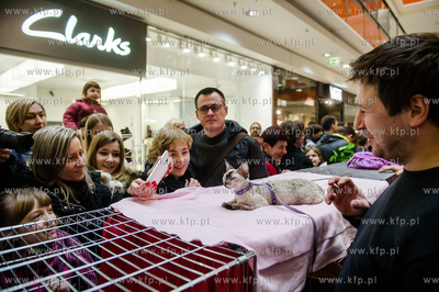 Gdansk. Wrzeszcz. Dzien Kota w CH Galeria Baltycka.
21.02.2016
fot....