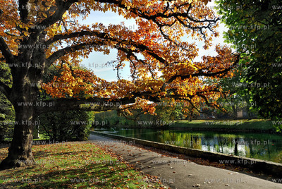 Gdansk Oliwa Park. Fragment parku z basenem parkowym.Poczatkiem...