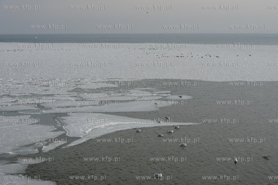 Molo - Sopot. Zamarza Zatoka Gdanska w rejonie sopockiego...