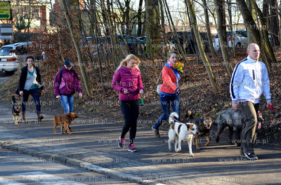Gdynia. Ogolnopolskie Towarzystwo Ochrony Zwierzat...