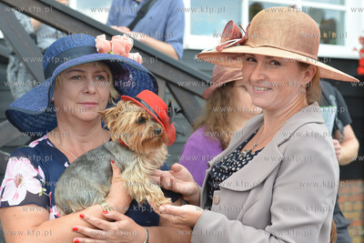 Konkurs Modowy na najlepszy kapelusz rozganizowany...