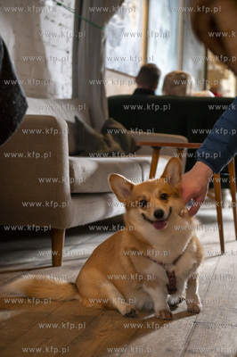 Sopot. Dwie Zmiany. Giełda płyt winylowych.12.02.2023...