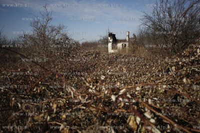 Gdansk. Powstaje Trasa im. majora Henryka Sucharskiego,...