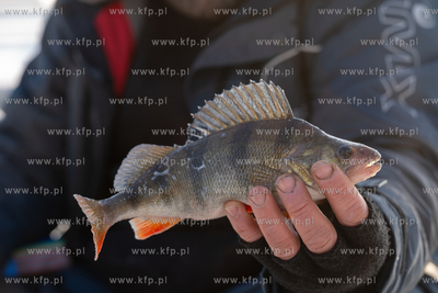 Zima. Łowienie na lodzie przy przystani Żabi Kruk...