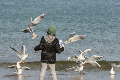Plaża w Sopocie.13.02.2022 / fot. Anna Rezulak / KFP