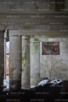 Tereny zespolu dworsko-palacowego z folwarkiem w Rusocinie.
Nz...