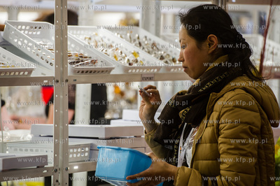 Miedzynarodowe Targi Gdanskie Amber Expo. Amberif -...