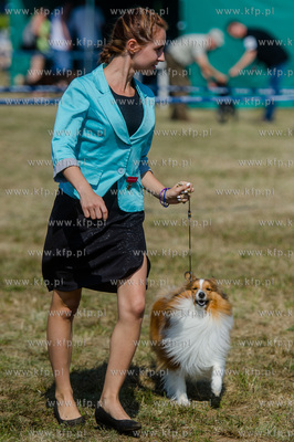 Sopot. Hipodrom. Miedzynarodowa Wystawa Psow Rasowych.
23.08.2015
fot....