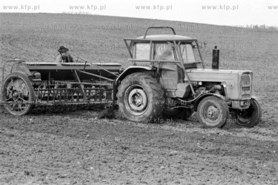 Prace rolne w PGR w Rusocinie. 
16.03.1977
4marzec77_z.kosycarz_p31
Fot....