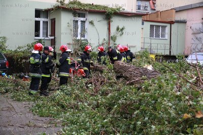 Silny polnocny wiatr nad Pomorzem spowodowal wiele...