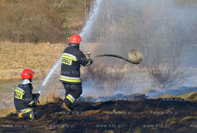 Gdansk. Groznego pozaru na terenie bylego poligonu...