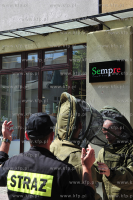 Sopot. Rog ulic Monte Cassino i Haffnera. Roj pszczol...