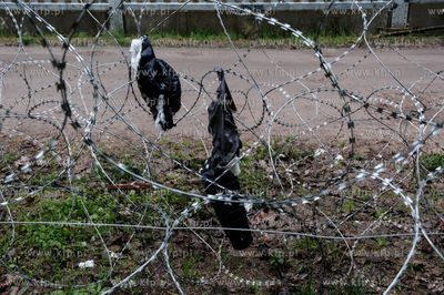 Laureaci XXVIII Pomorskiego Konkursu Fotografii Prasowej...