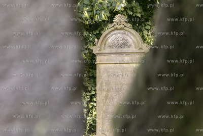 Największy w Polsce, wpisany w 1988 roku do rejestru...