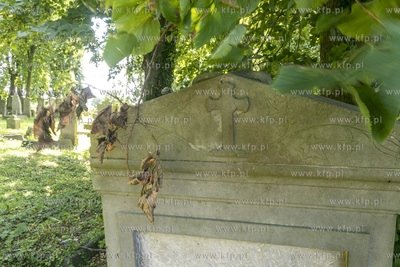 Największy w Polsce, wpisany w 1988 roku do rejestru...