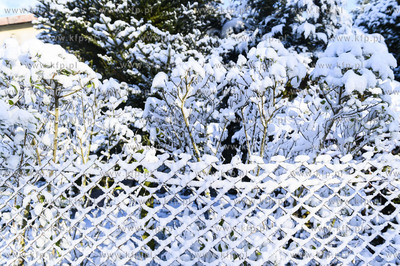 Zima we wsi Dobrzewino na Kaszubach w powiecie wejherowskim....
