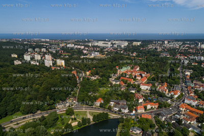 Gdańsk, Oliwa, lasy oliwskie. 20.07.2017 Fot. Wojtek...