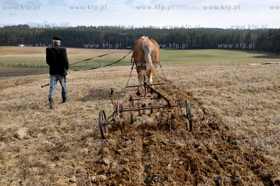 Wiosenne prace rolne przy uzyciu konia w Sulminie na...