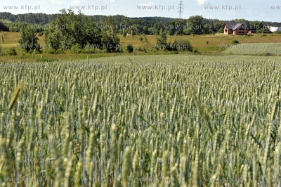 Gdansk, Szadolki. Tereny pod kolejne inwestycje mieszkaniowe....
