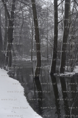 Park Jelitkowski w Gdańsku Jelitkowie. Podniesiony...