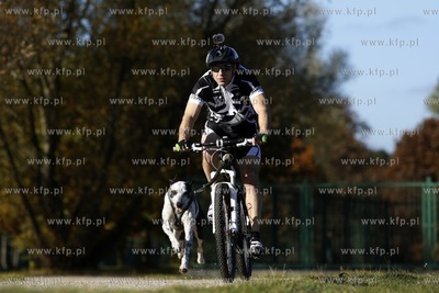 Gdańsk. Park Reagana. Pucharu Polski Psich Zaprzęgów...
