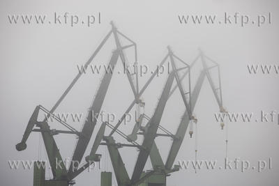 Dzwigi Stoczni Gdańskiej we mgle.
12.06.2020
fot....