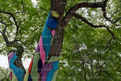 Gdańsk, Strzyża. Plac Gen. Maczka. Nz. Drzewa ozdobione...
