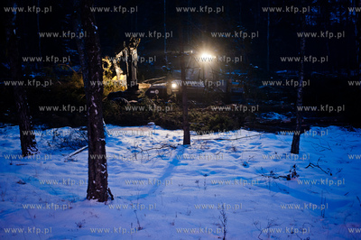 Gdansk. Rebiechowo. Nocna wycinka drzew pod budowe...